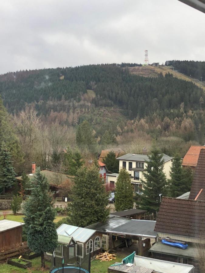 Ferienwohnung Eichhoernchenkobel Goslar Buitenkant foto